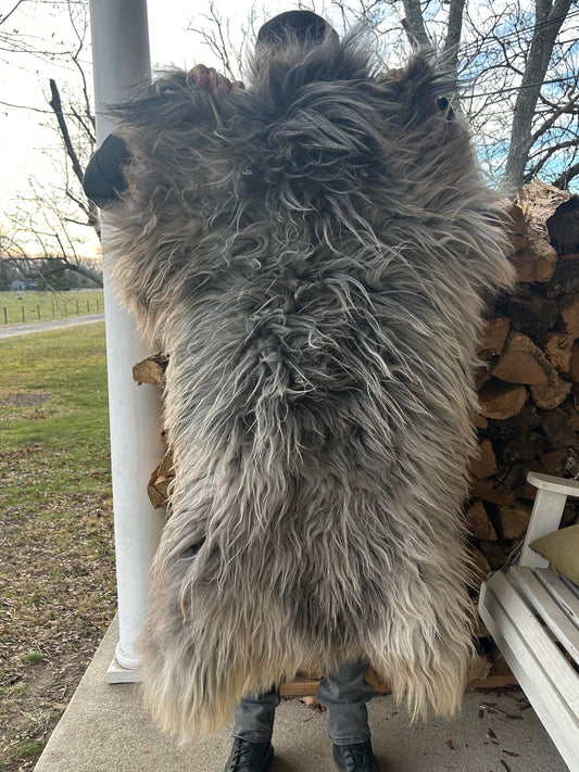 Sheep Hides